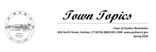 Town Topics Survey